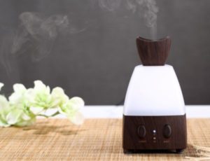 máy khuếch tán tinh dầu nhập khẩu sang trọng