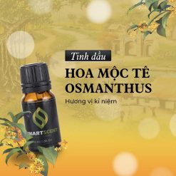 Tinh dầu hoa mộc tê