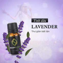 Tinh dầu Lavender