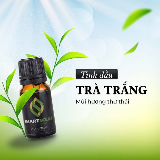 Tinh dầu Trà trắng