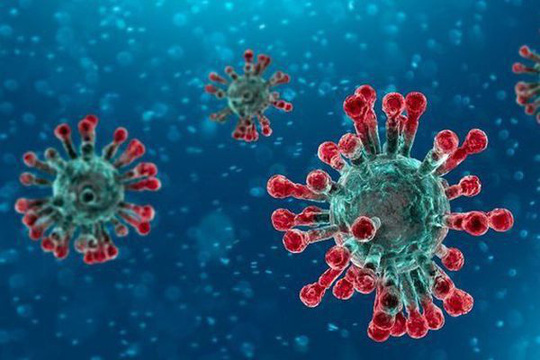 Virus corona gây nên bệnh viêm phổi Vũ Hán nguy hiểm