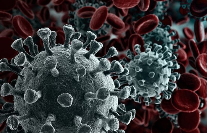 Virus corona là loại nguy hiểm gây viêm phổi cấp lây lan dễ dàng