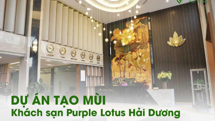 tạo mùi khách sạn ở Hải Dương