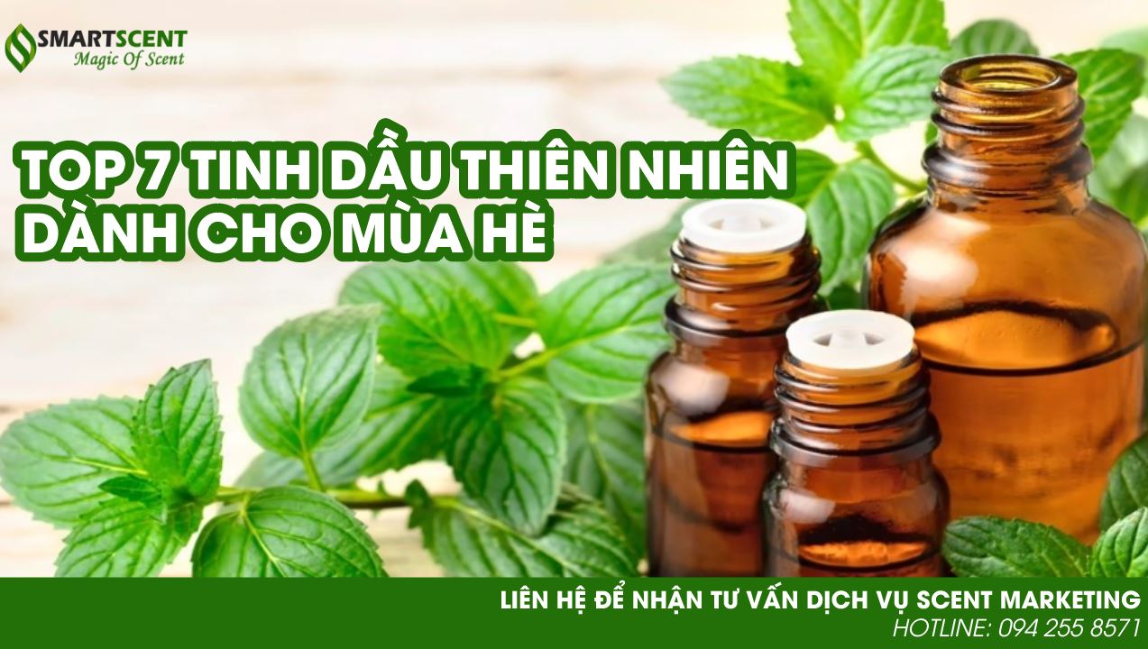 TOP 7 MÙI HƯƠNG TINH DẦU THIÊN NHIÊN CHO MÙA HÈ