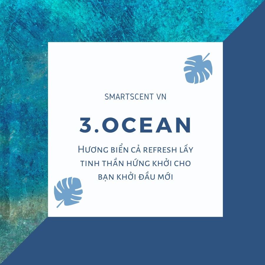 mùi hương tinh dầu cho mùa hè với hương vị biển cả độc đáo