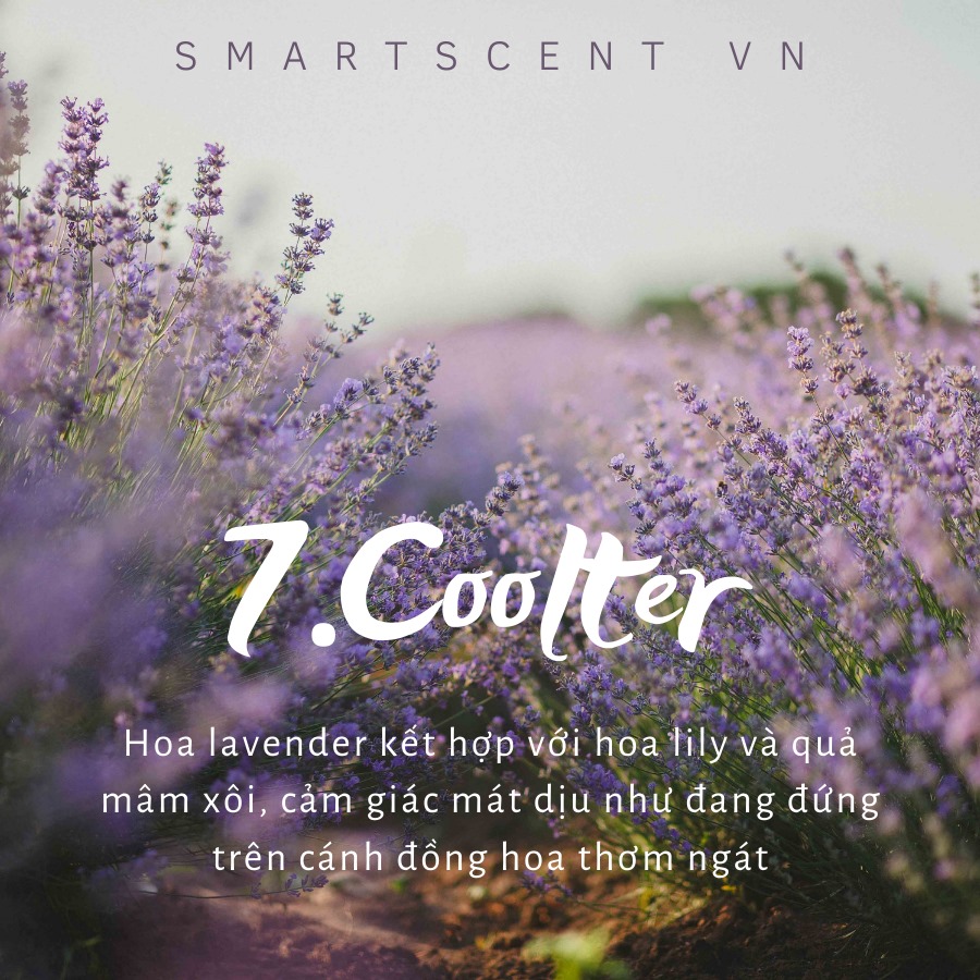 Bạn như chìm đắm trong cánh đồng hoa với mùi hương Cootter