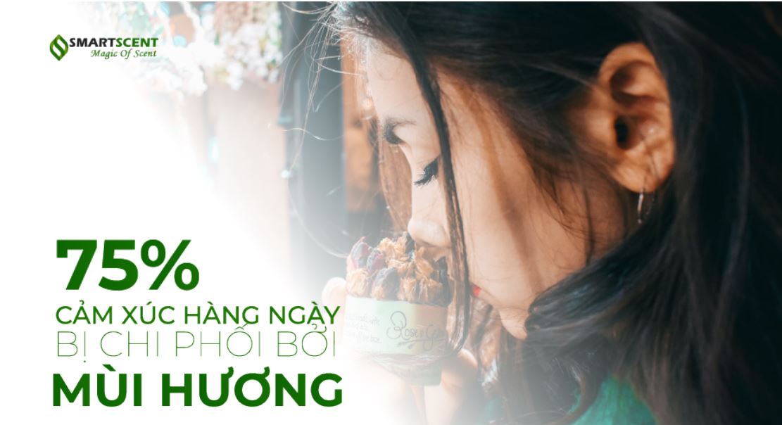 scent marketing là gì