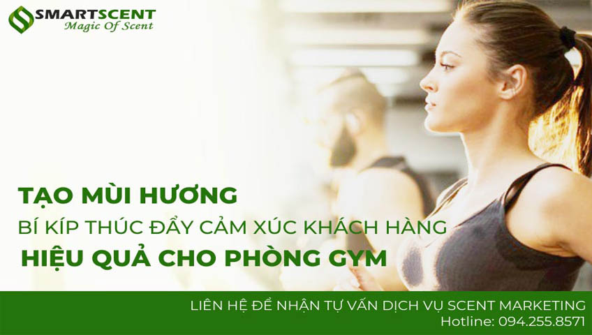 tạo mùi hương cho phòng gym