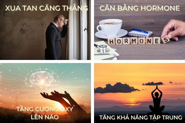 Công dụng của tinh dầu 