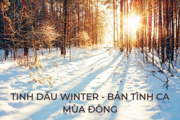 Tinh dầu winter