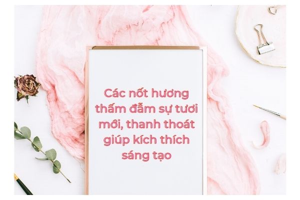 Tinh dầu giúp thư giãn 