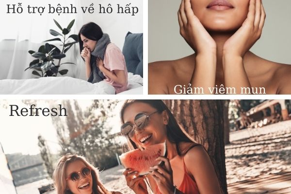 Công dụng của tinh dầu cao cấp