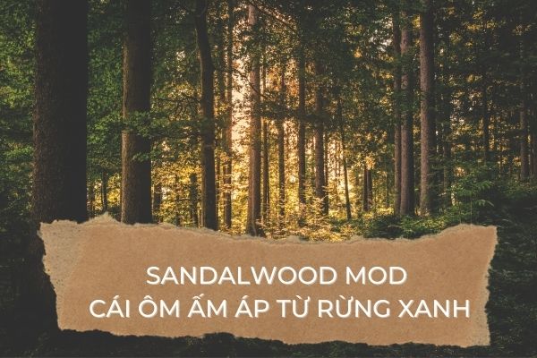 Tinh Dầu Sandalwood Mod