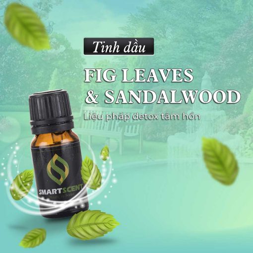 Tinh dầu Fig Leaves - Sandalwood