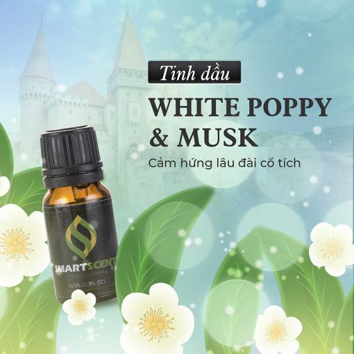 Tinh dầu White Poppy & Musk