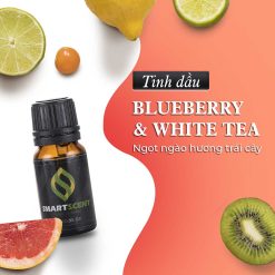 Tinh dầu Blueberry And White Tea - Ngọt Ngào Hương Trái Cây