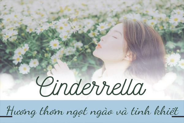 Tinh dầu Cinderrella 