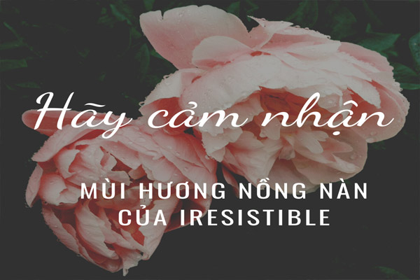 Tinh dầu iresistible