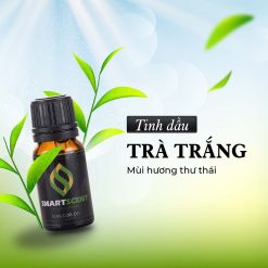 Tinh dầu Green Leaf
