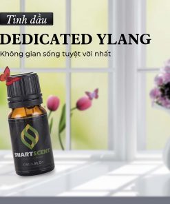 Tinh dầu Dedicated Ylang