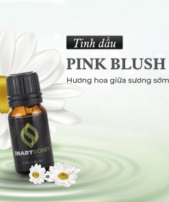Tinh dầu Pink Blush