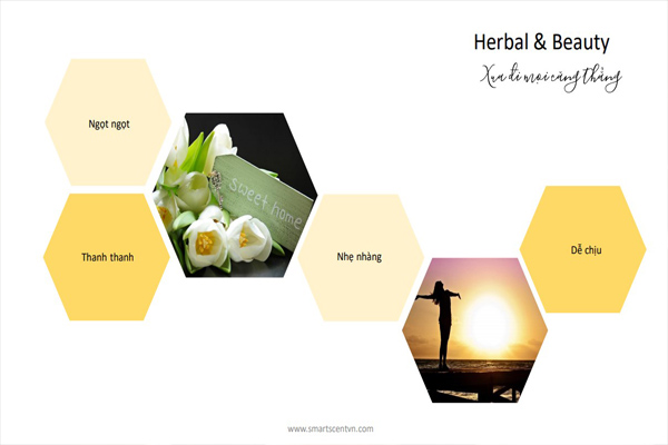 Tinh dầu herbal & beauty