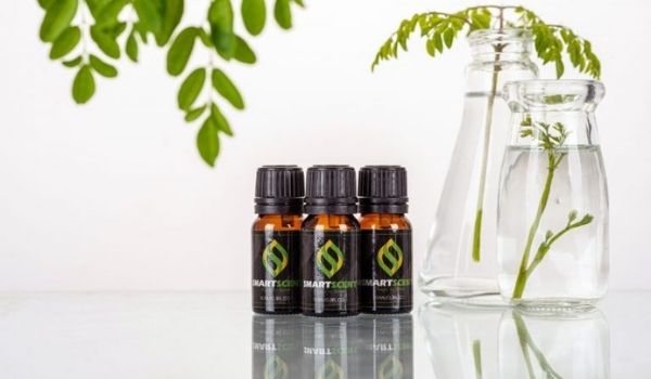 Tạo thơm tòa nhà văn phòng tập đoàn VSETGROUP
