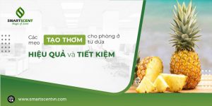 Các mẹo làm thơm phòng ở từ dứa