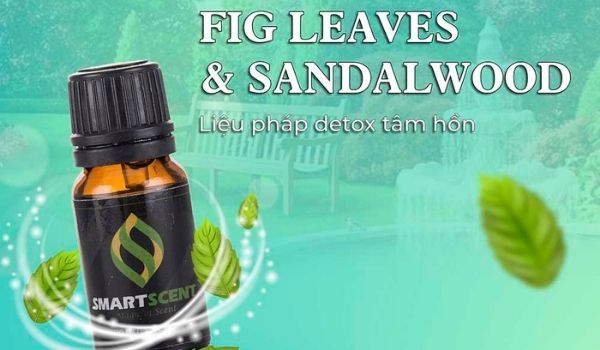Tinh dầu Fig Leave & Sandalwood
