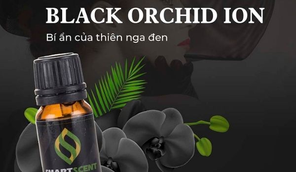 Tinh dầu Hoa lan đen Black Orchid Ion 