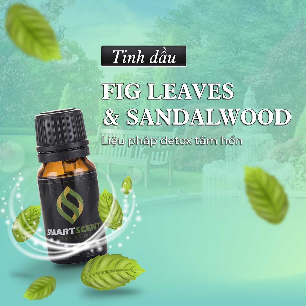 Tinh dầu Fig Leaves and Sandalwood
