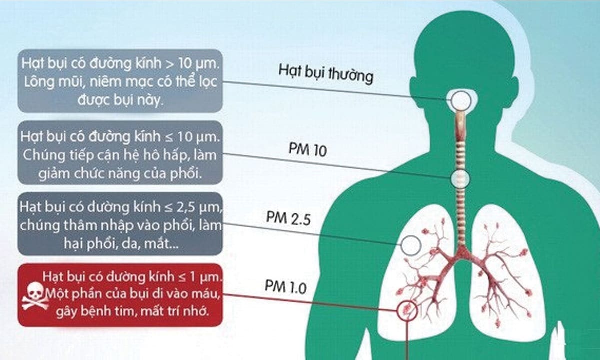 Tác hại của ô nhiễm không khí ảnh hưởng tới con người