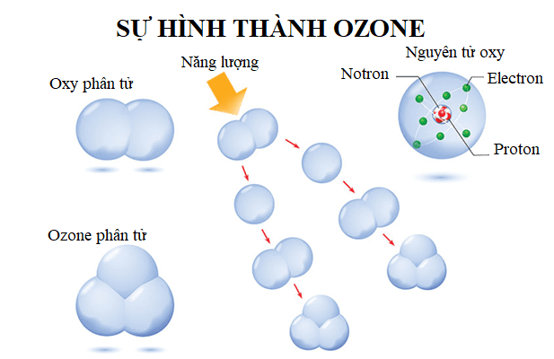 Ozone được hình thành như thế nào