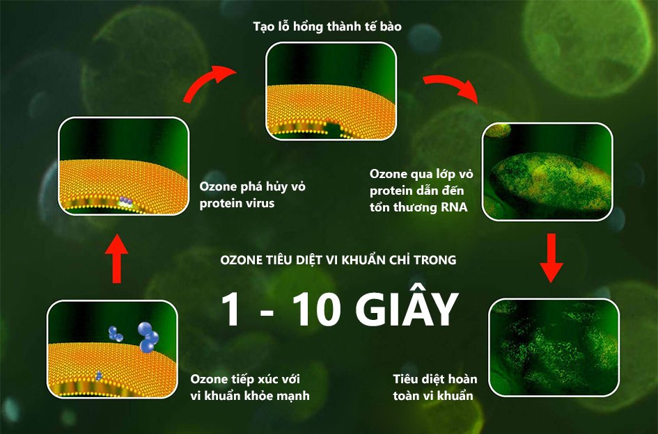 ozone có thể làm gì