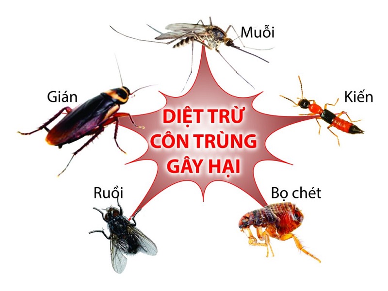 tac-dung-cua-may-xit-phong-tu-dong-diet-con-trung