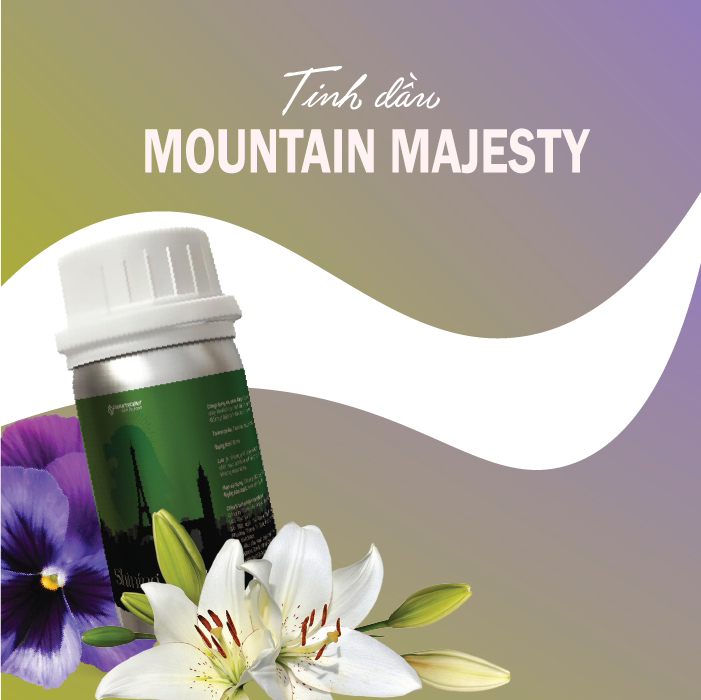 Tinh dầu Mountain Majesty- Hương thơm sang trọng và đầy quyền lực