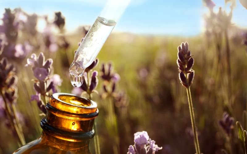Tinh dầu có thời hạn sử dụng không? Tinh dầu có thời hạn sử dụng không?