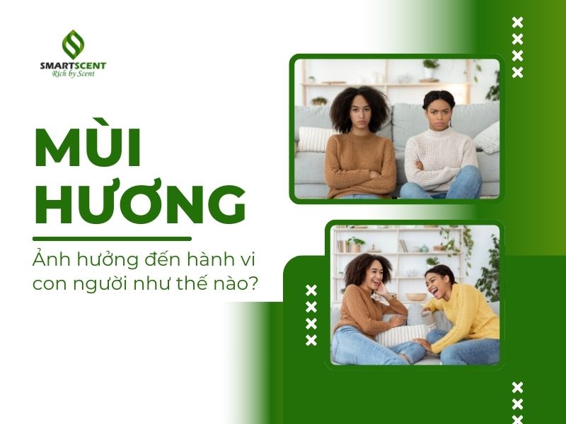 Ảnh hưởng của mùi hương đến trải nghiệm khách hàng