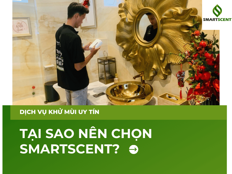 Quy trình dịch vụ khử mùi uy tín tại SmartScent