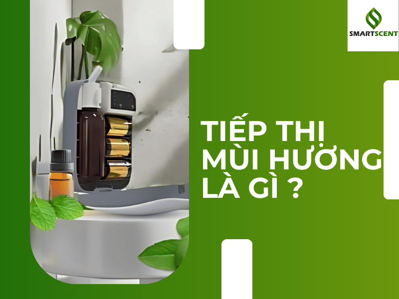 tiếp thị mùi hương bền vững tiếp thị mùi hương bền vững