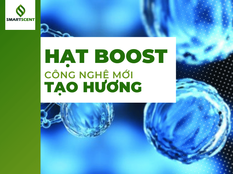 tạo hương cho cửa hàng