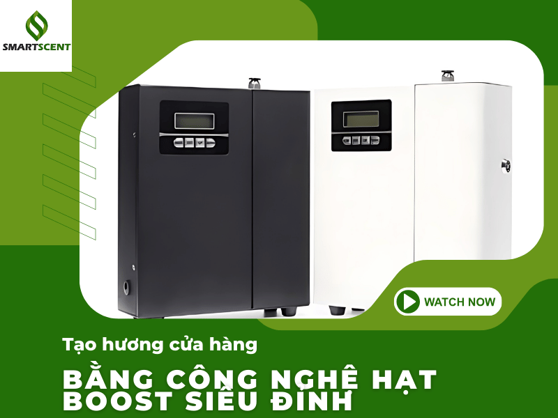 tạo hương cho cửa hàng