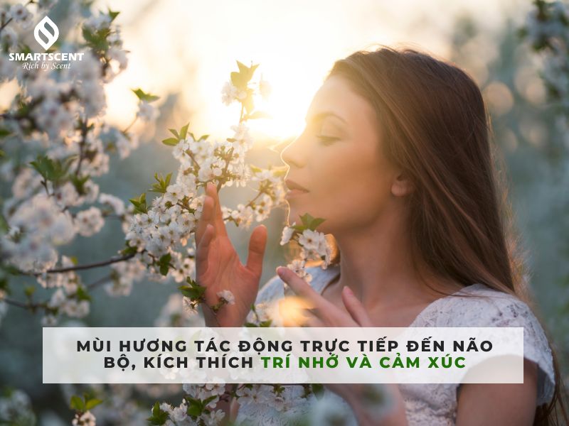 scent marketing