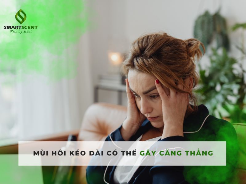 máy khử mùi hôi chó mèo