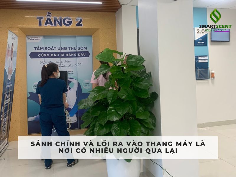 Khử Mùi Và Tạo Hương Cho Bệnh Viện