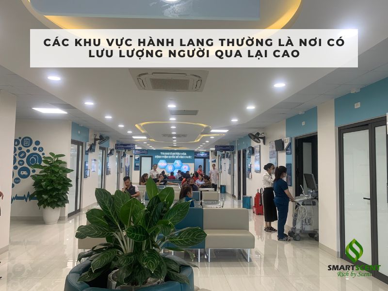 Khử Mùi Và Tạo Hương Cho Bệnh Viện