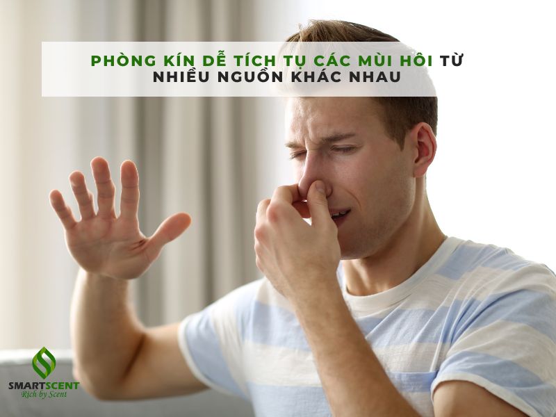 cách khử mùi hôi phòng kín