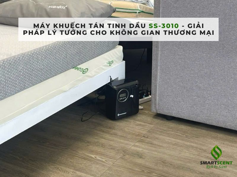 tạo hương cho cửa hàng