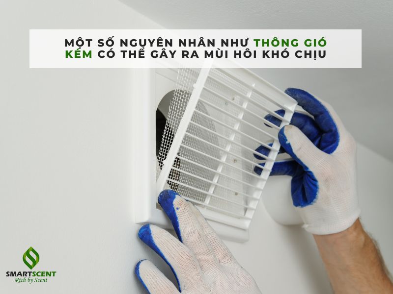 cách khử mùi hôi phòng kín