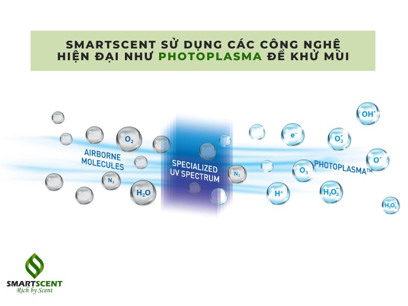 cách khử mùi hôi phòng kín